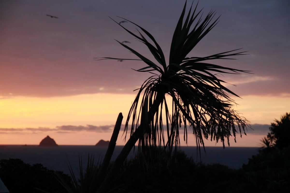 Nouvelle-Zélande : l&rsquo;île du Nord !