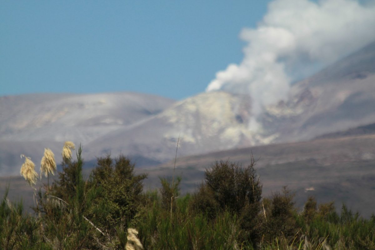 Nouvelle-Zélande : l&rsquo;île du Nord !