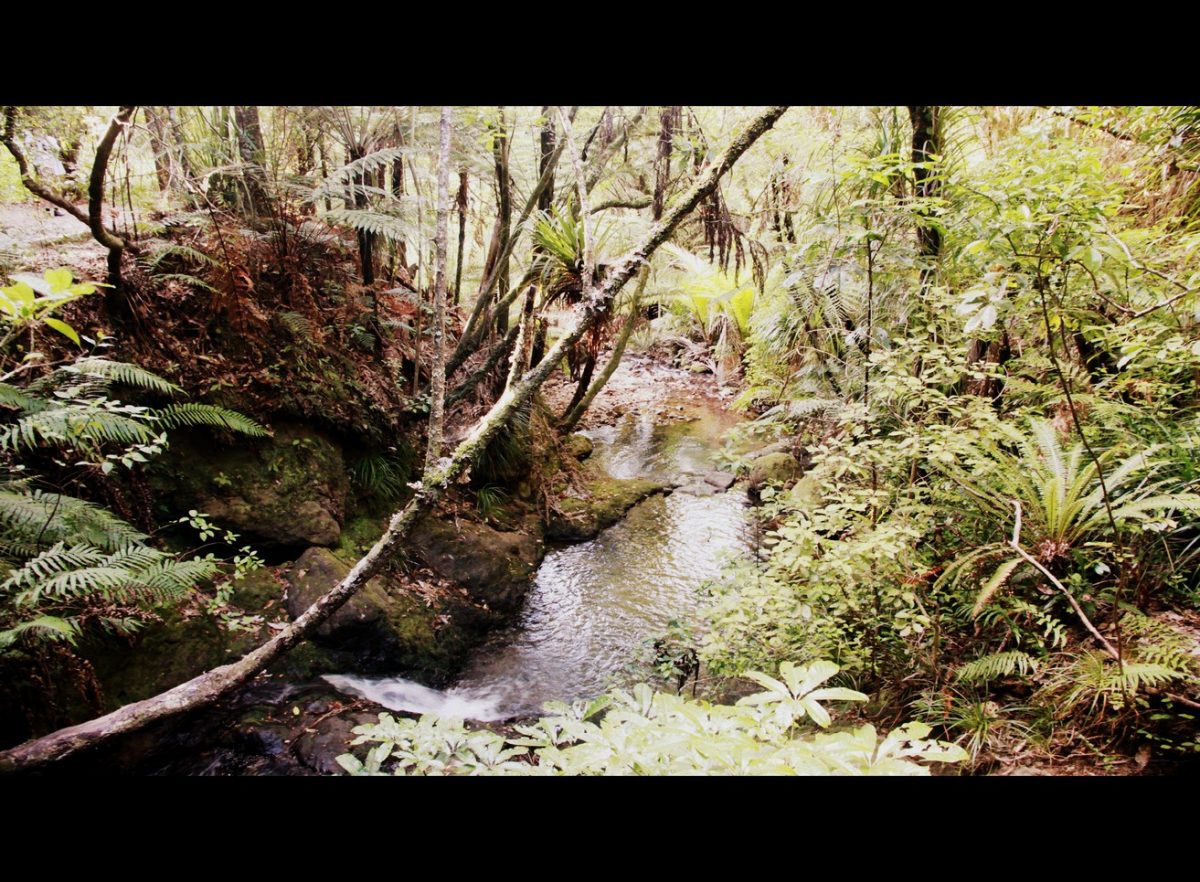 Nouvelle-Zélande : l&rsquo;île du Nord !