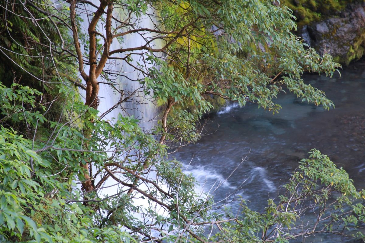 Nouvelle-Zélande : l&rsquo;île du Nord !