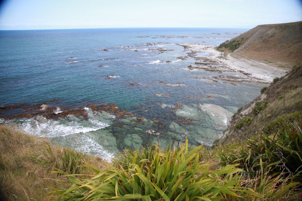 Nouvelle-Zélande : l&rsquo;île du Nord !