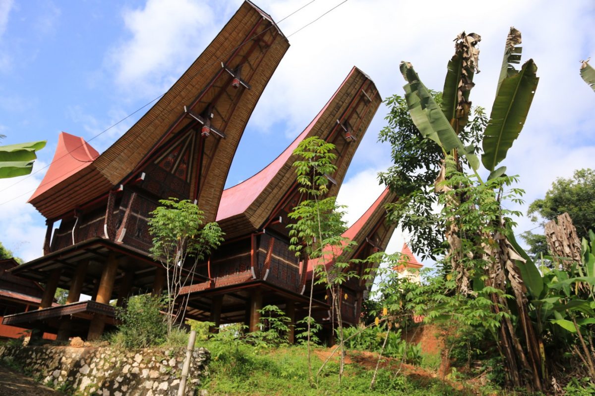 Rantepao, bienvenu en pays Toraja, ici on fait dans la boucherie et la charpente.