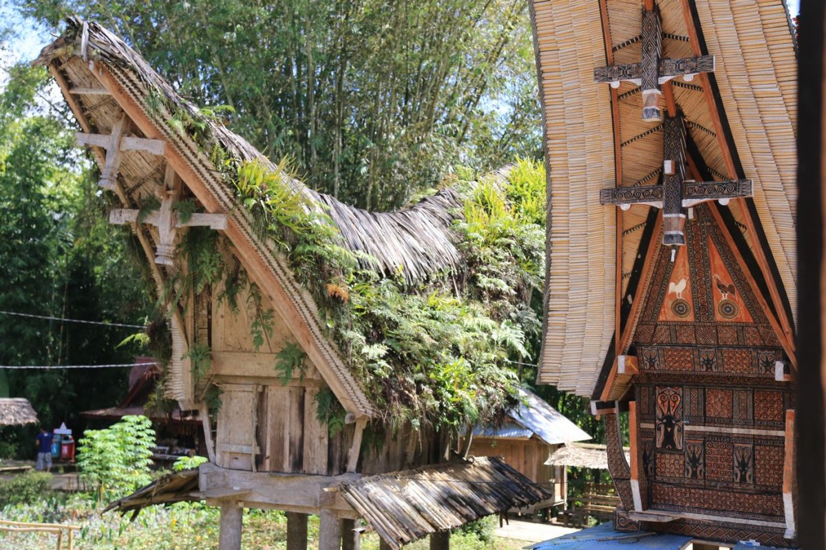 Rantepao, bienvenu en pays Toraja, ici on fait dans la boucherie et la charpente.