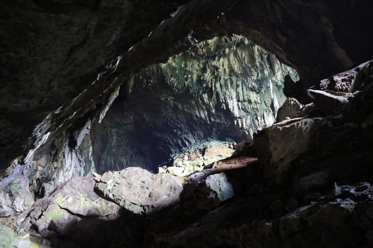 Gunung Mulu national park – là on est vraiment dans la… forêt.