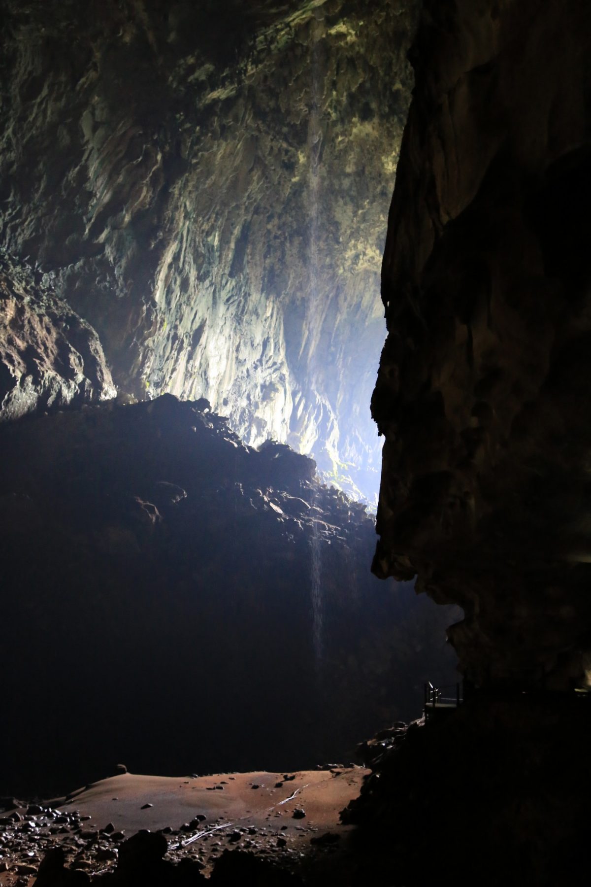Gunung Mulu national park – là on est vraiment dans la… forêt.