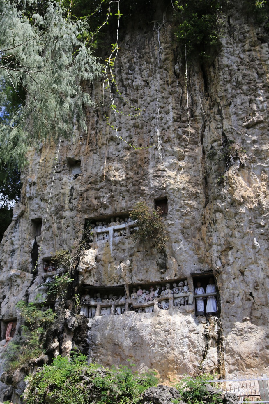 Rantepao, bienvenu en pays Toraja, ici on fait dans la boucherie et la charpente.