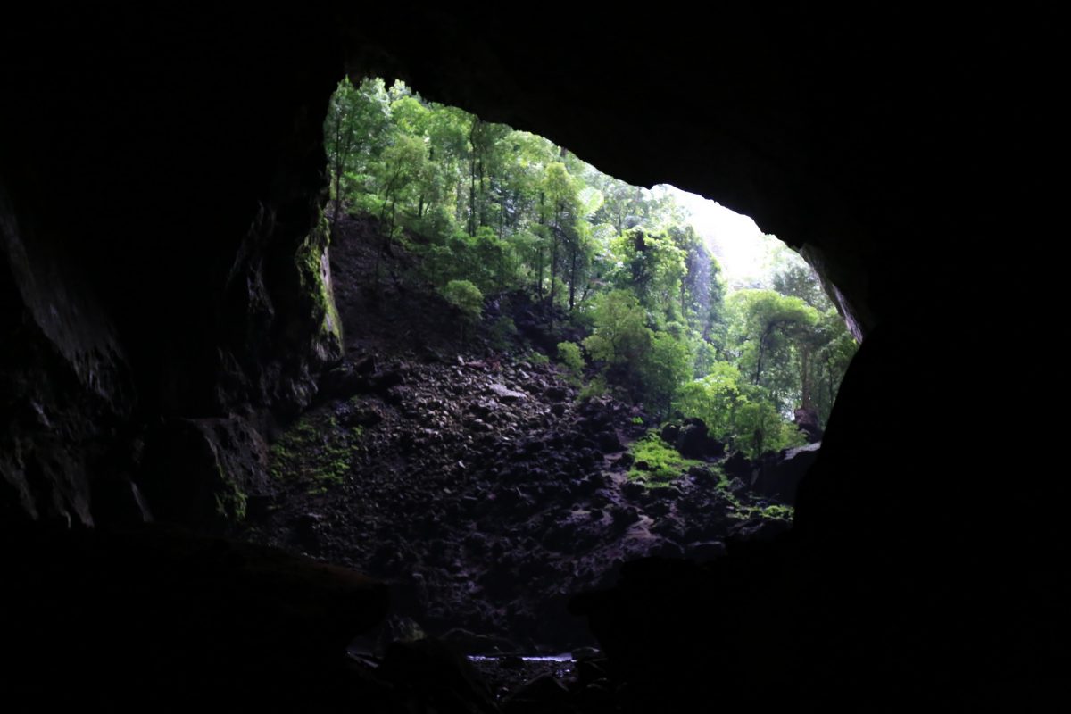 Gunung Mulu national park – là on est vraiment dans la… forêt.