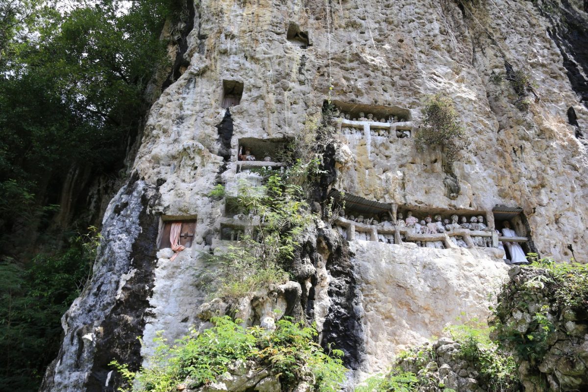 Rantepao, bienvenu en pays Toraja, ici on fait dans la boucherie et la charpente.