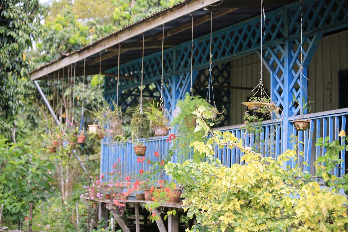 Sur le pont d&rsquo;la rivière K…inabatangan.