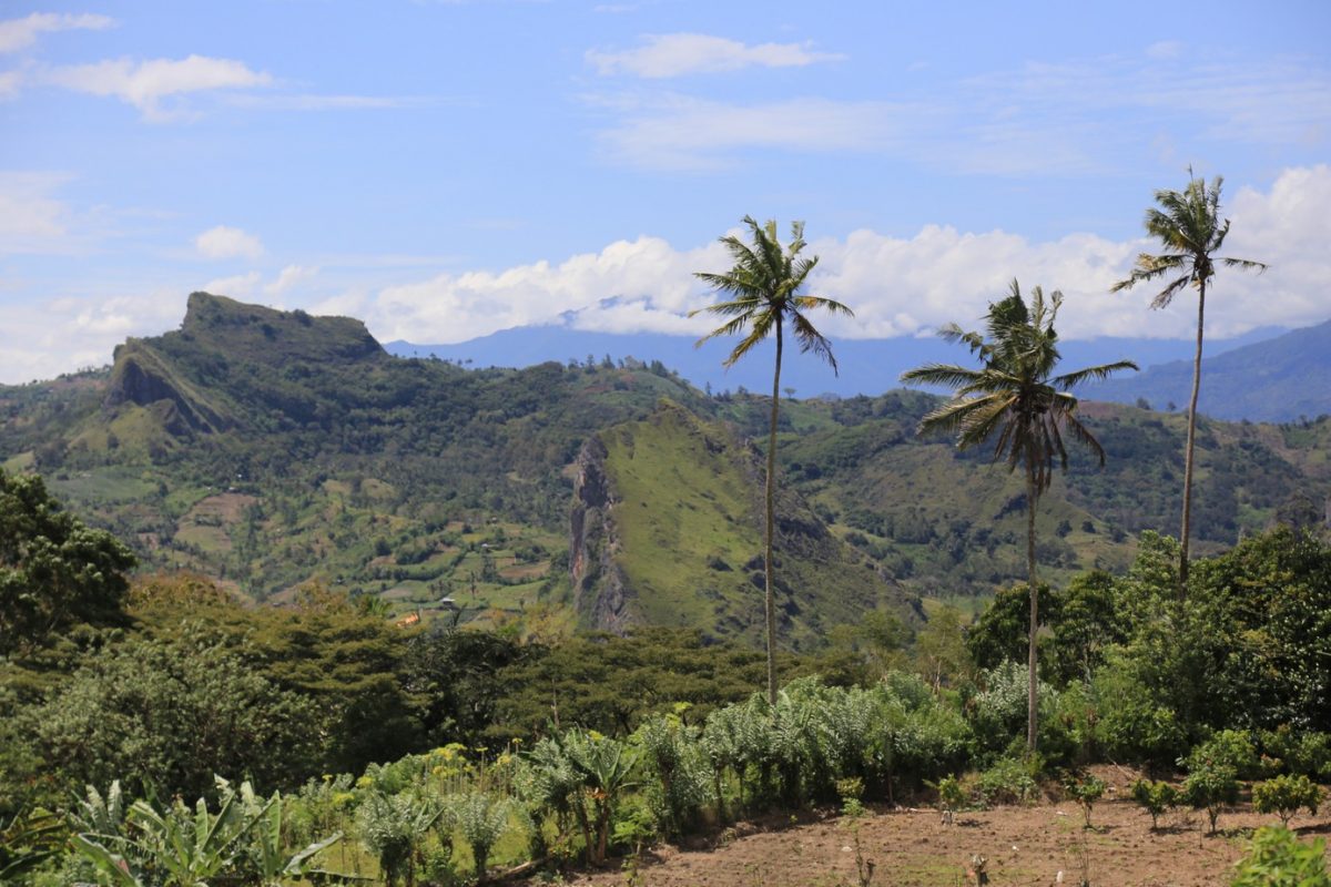 Rantepao, bienvenu en pays Toraja, ici on fait dans la boucherie et la charpente.