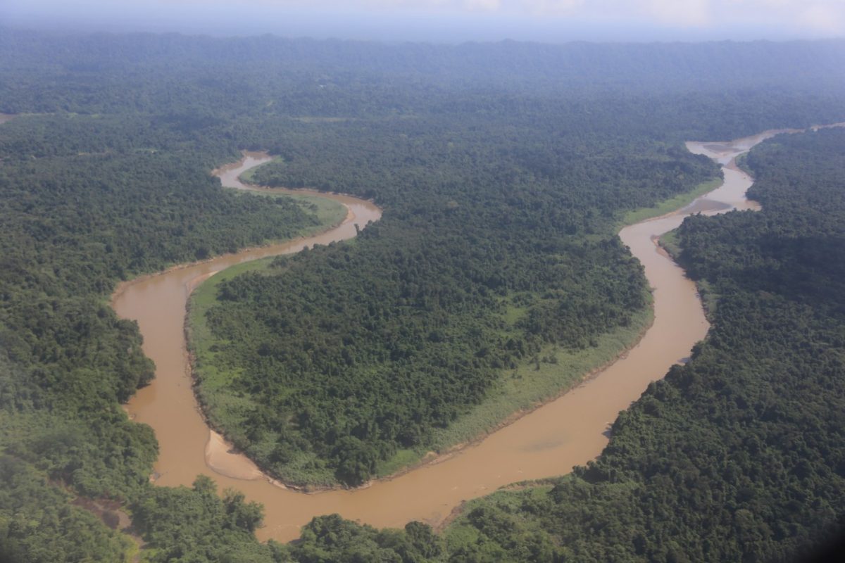 Gunung Mulu national park – là on est vraiment dans la… forêt.
