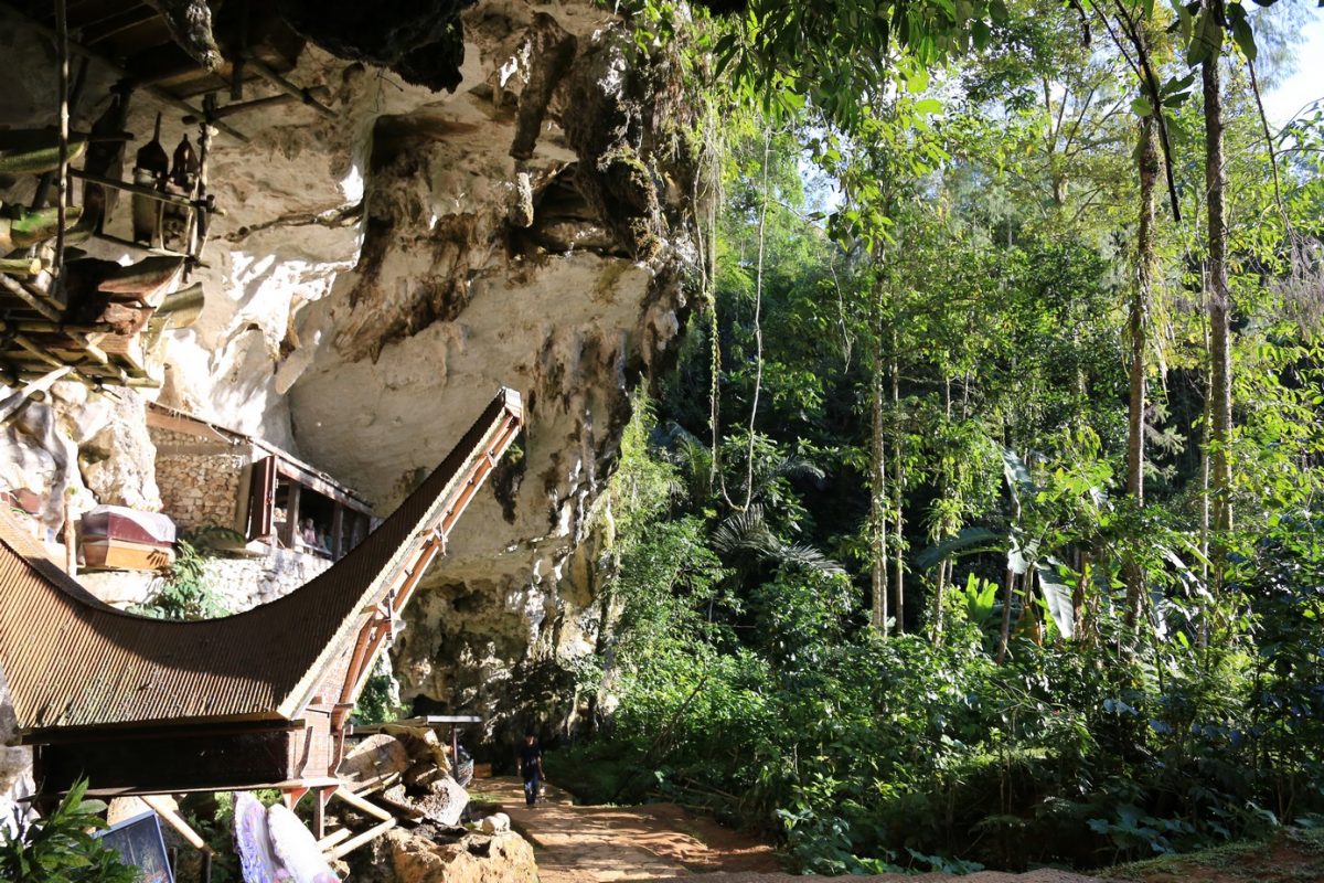 Rantepao, bienvenu en pays Toraja, ici on fait dans la boucherie et la charpente.