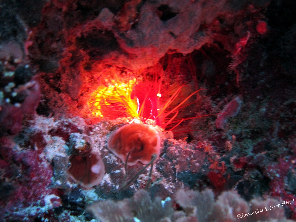 Les Togians, ça se mérite…mais quand on y est on est content !