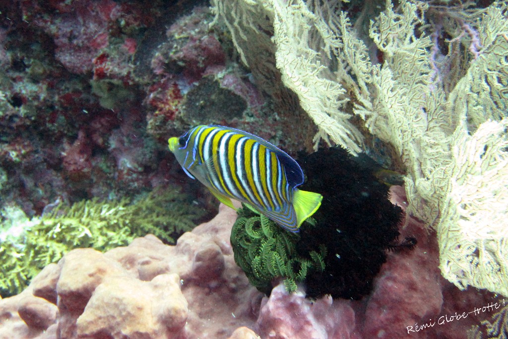 Les Togians, ça se mérite…mais quand on y est on est content !