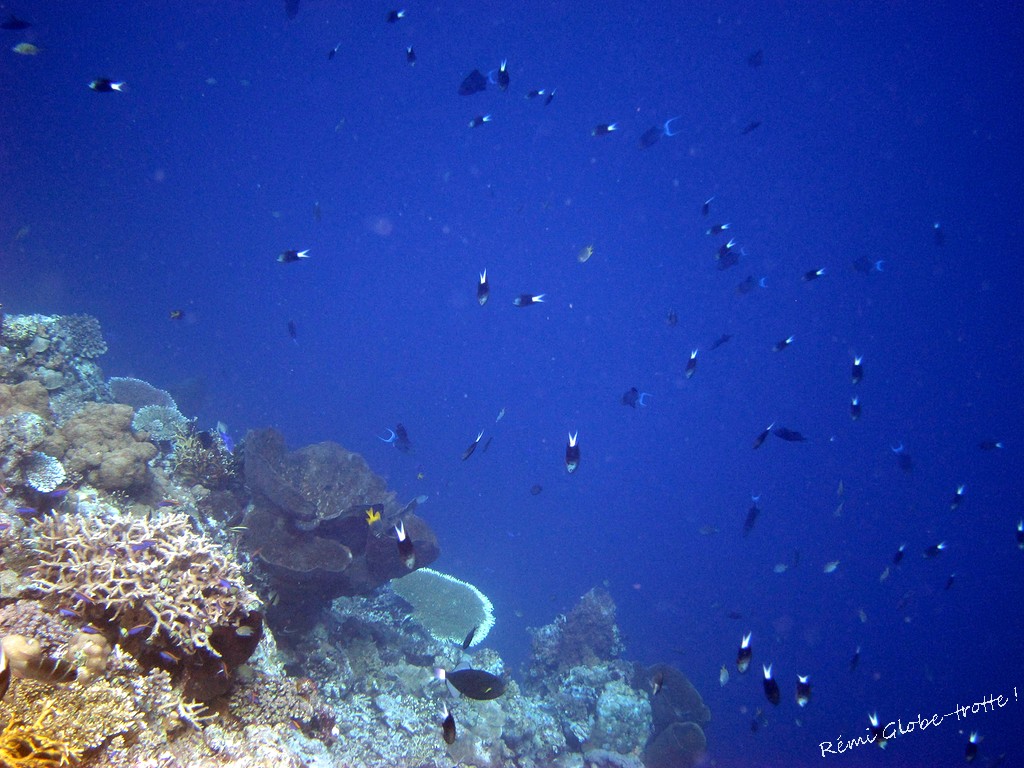 Les Togians, ça se mérite…mais quand on y est on est content !