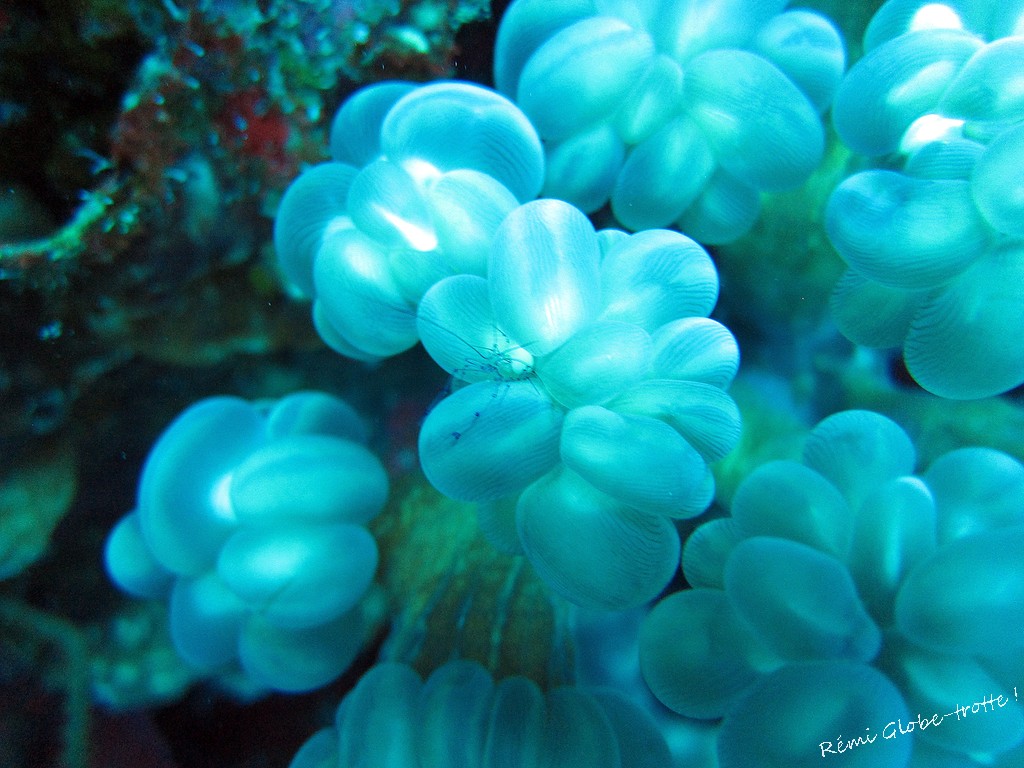 Les Togians, ça se mérite…mais quand on y est on est content !