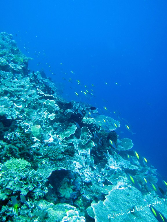 Les Togians, ça se mérite…mais quand on y est on est content !