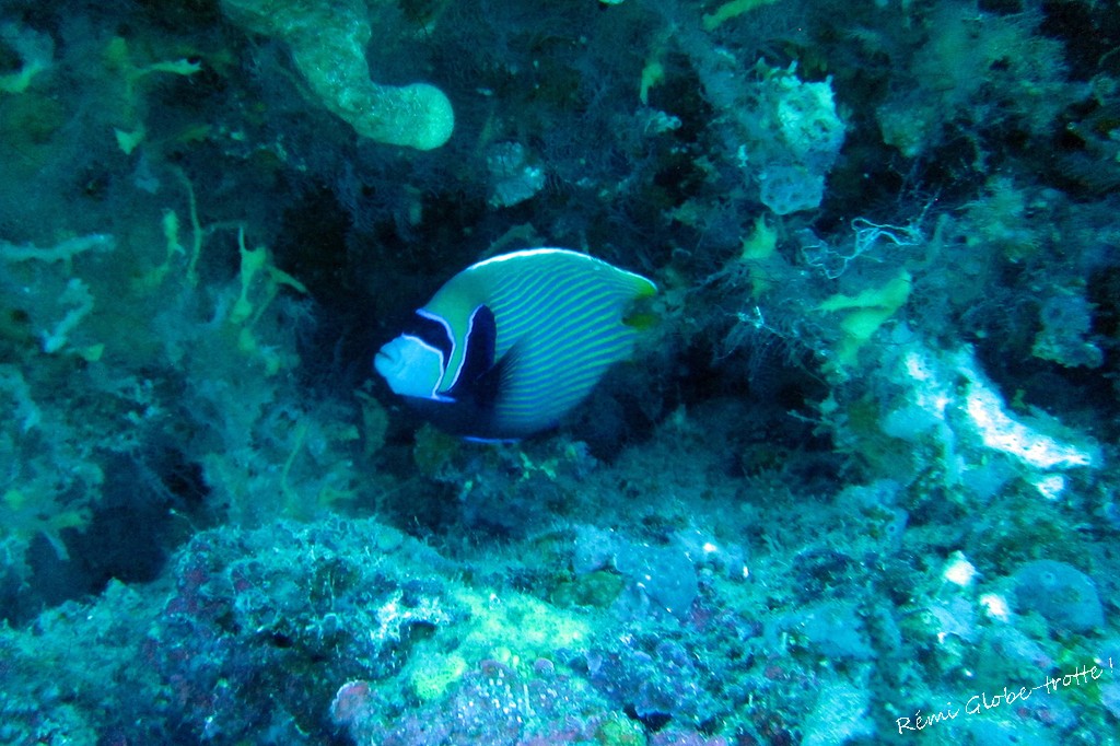 Les Togians, ça se mérite…mais quand on y est on est content !