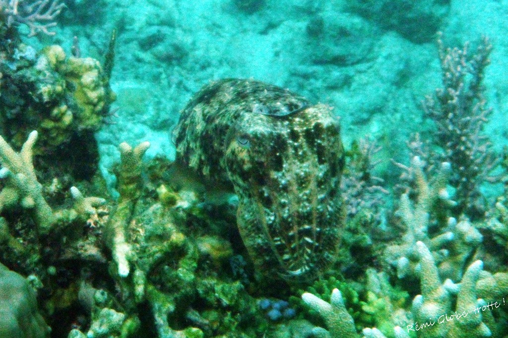 Les Togians, ça se mérite…mais quand on y est on est content !