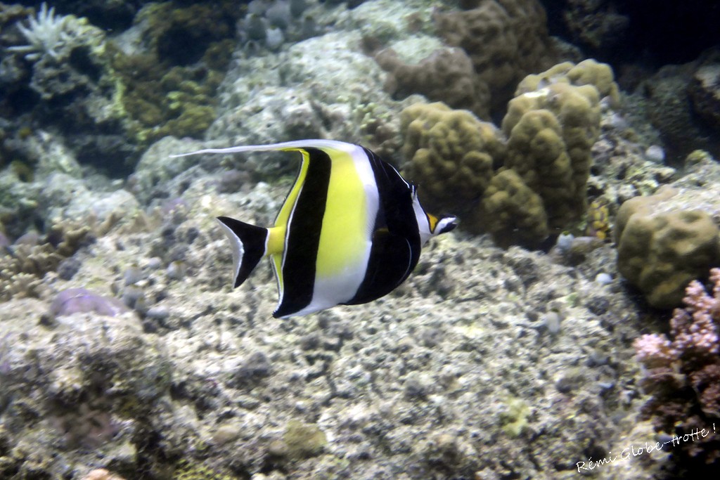 Les Togians, ça se mérite…mais quand on y est on est content !