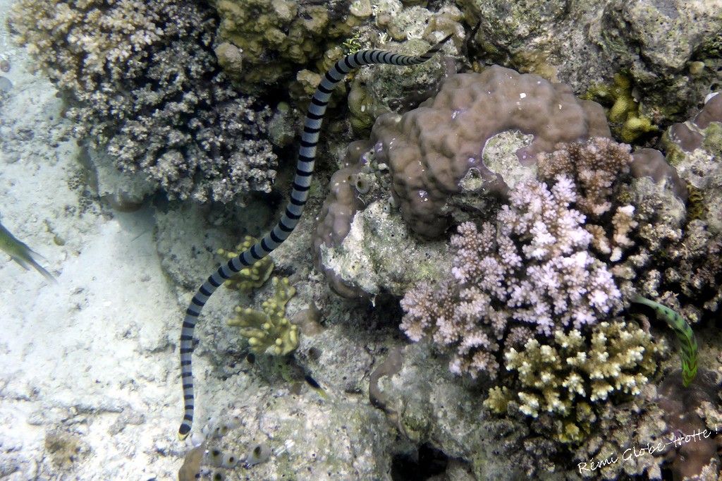 Les Togians, ça se mérite…mais quand on y est on est content !