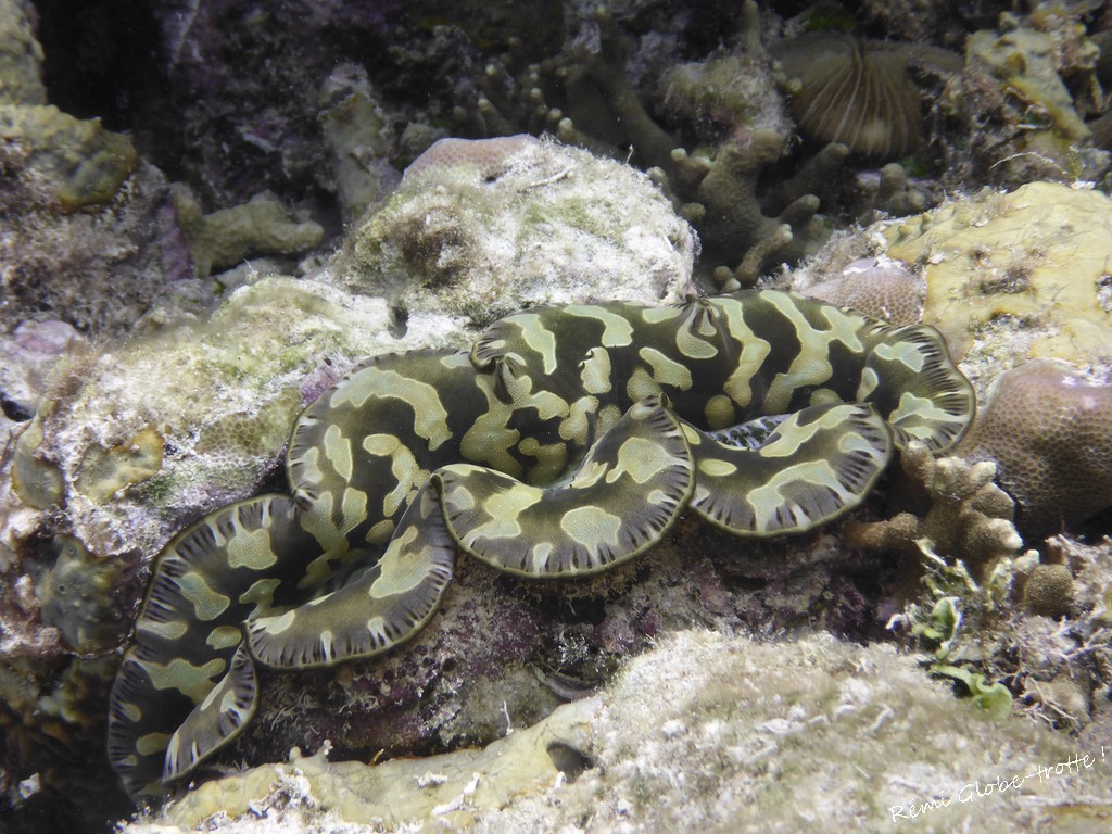 Les Togians, ça se mérite…mais quand on y est on est content !