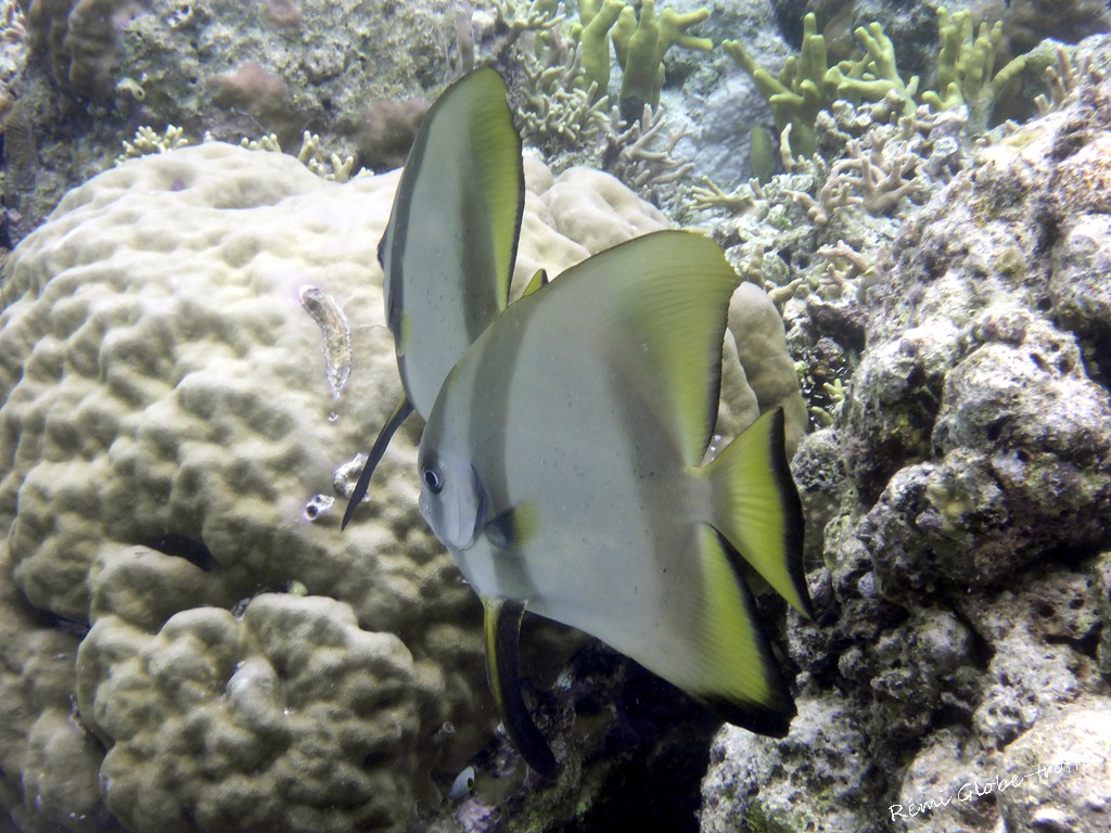 Les Togians, ça se mérite…mais quand on y est on est content !