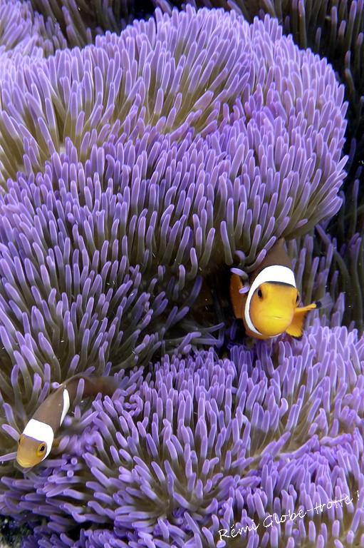 Les Togians, ça se mérite…mais quand on y est on est content !