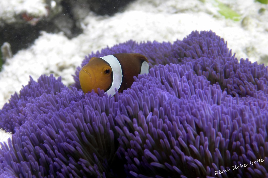 Les Togians, ça se mérite…mais quand on y est on est content !