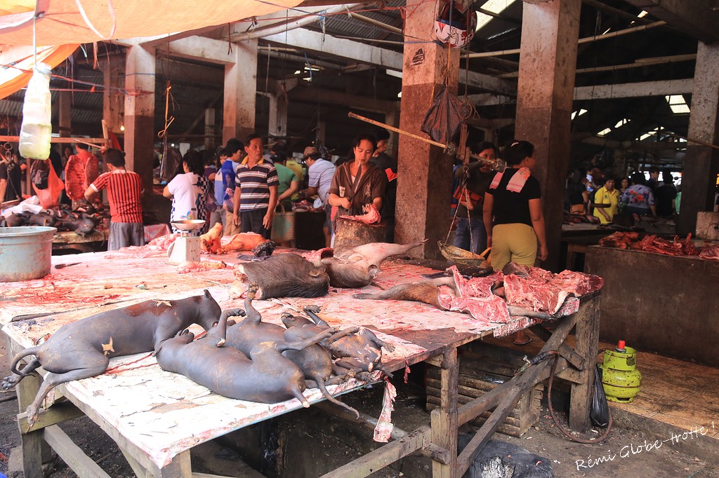 Tomohon, entre volcans et marché improbable…