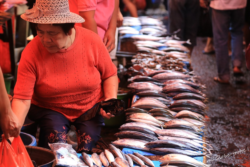 Tomohon, entre volcans et marché improbable…