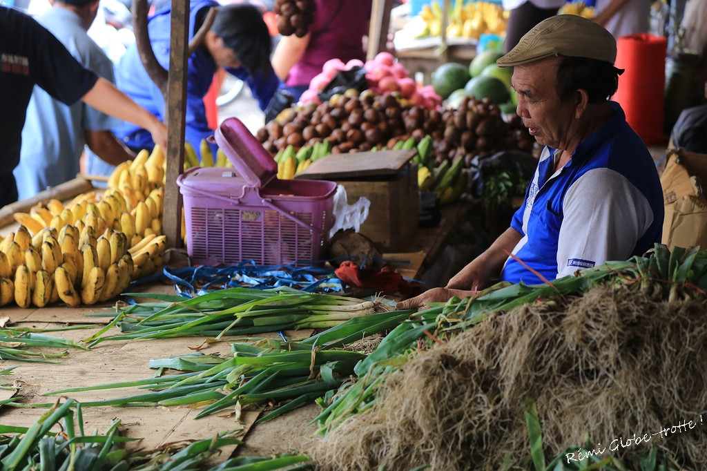 Tomohon, entre volcans et marché improbable…
