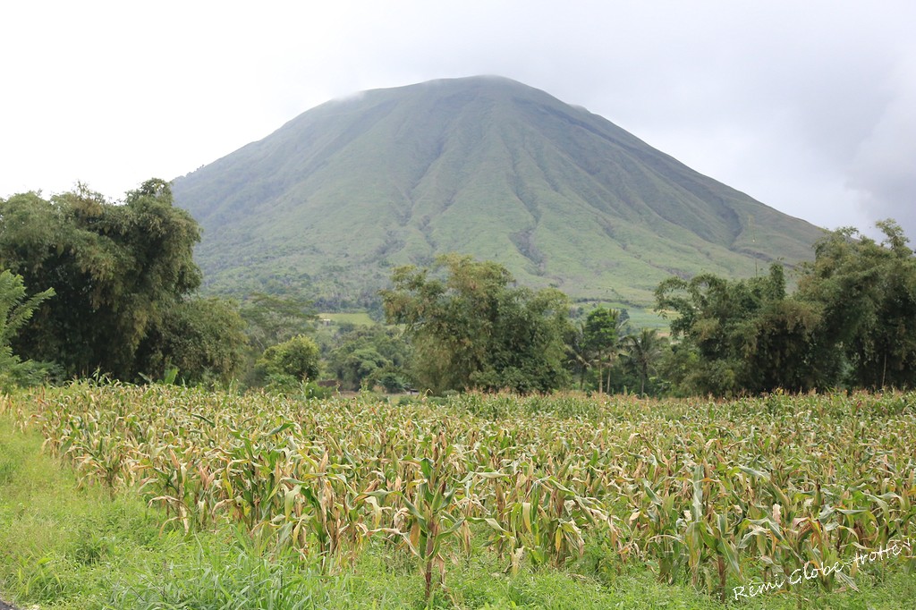 Tomohon, entre volcans et marché improbable…